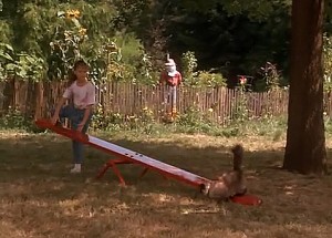 Screenshot from Homeward Bound